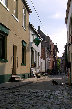 Lillo-Fort