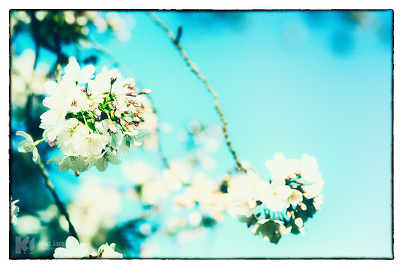 Minimal Nature III