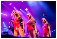 Kid Creole & The Coconuts