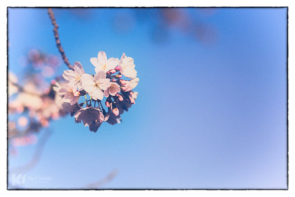 Minimal Nature II