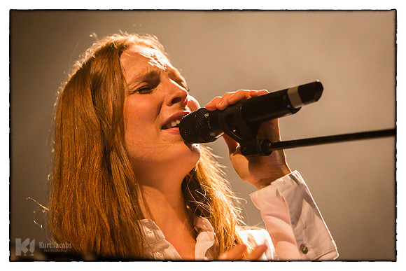 Ozark Henry