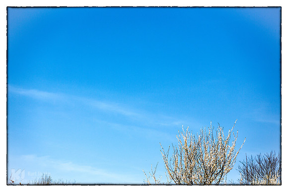 Minimal Nature I