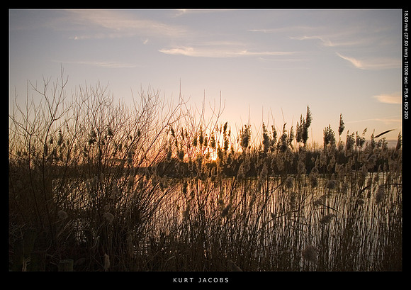 Schelde (Sint-Amands)