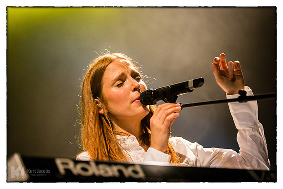 Ozark Henry
