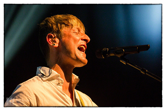 Ozark Henry