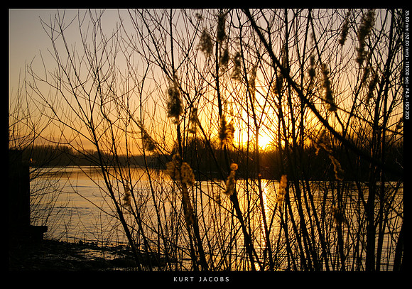 Schelde (Sint-Amands)
